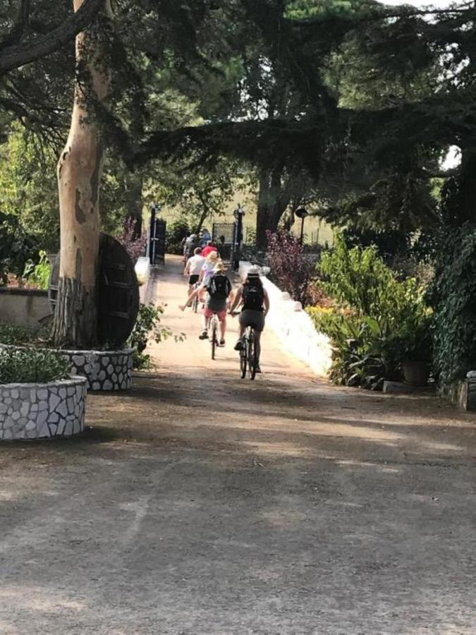 Mandorla Amara Gioia Del Colle